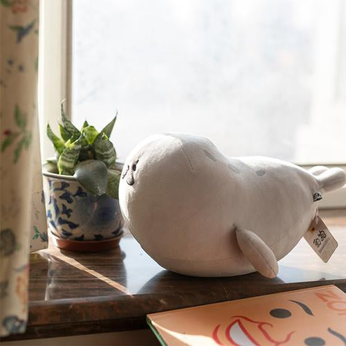 Do you know why seals perform ”banana pose“?