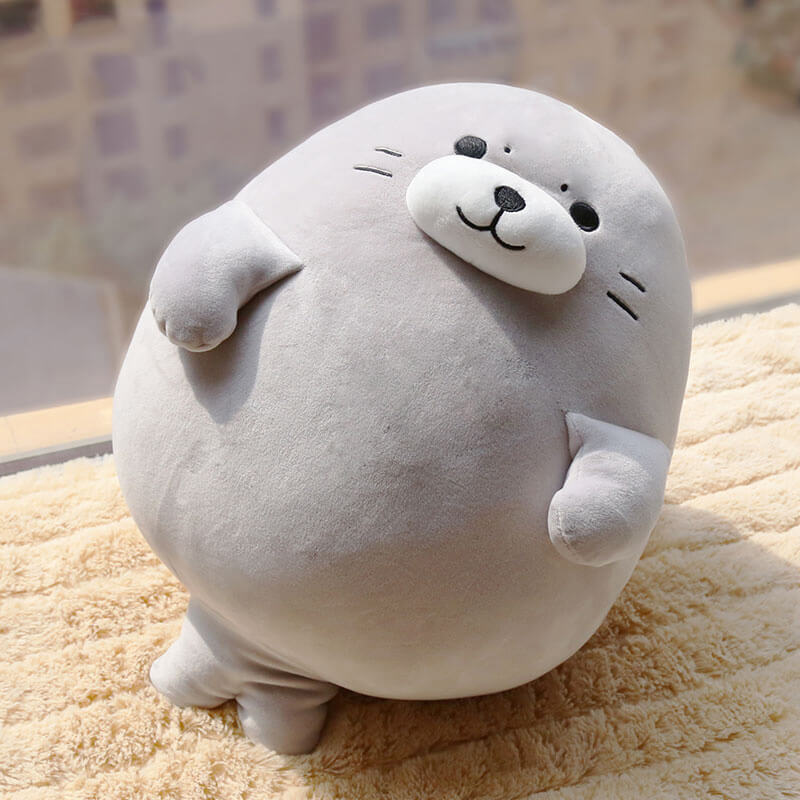 Five Interesting Facts about Seals