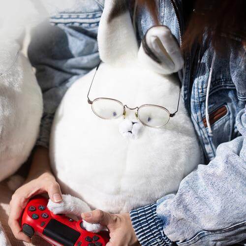 Long-legged rabbits living in the Arctic - Arctic hare