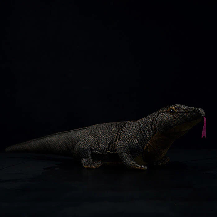 Why is Komodo? Can You Keep a Komodo Dragon a Pet?