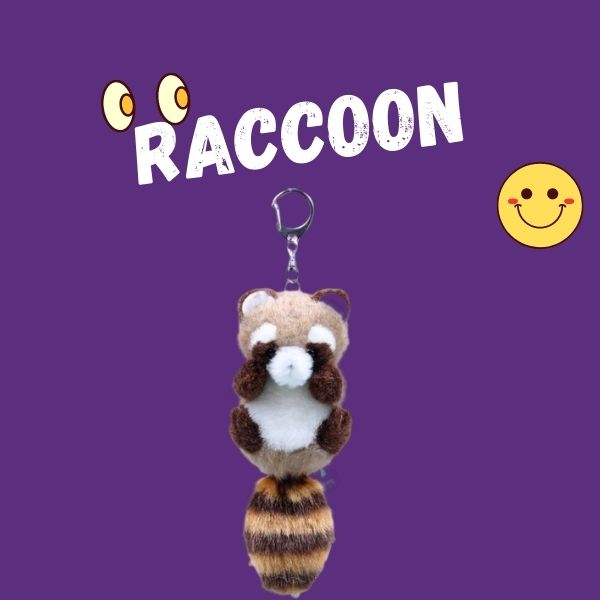 Raccoon