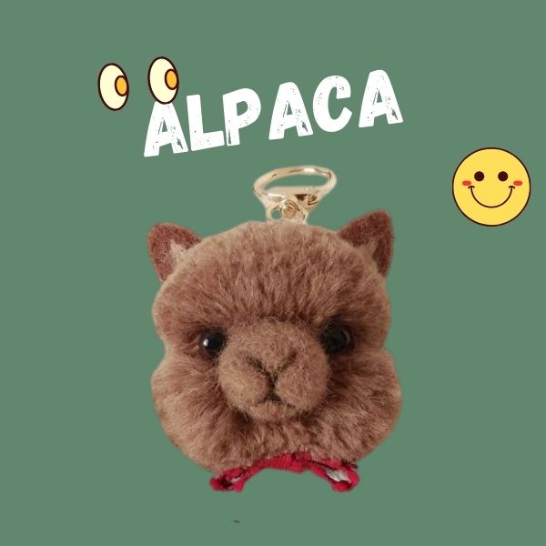 Alpaca