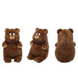 Adorable Bear Stuffed Animal Plush Hugging Pillow