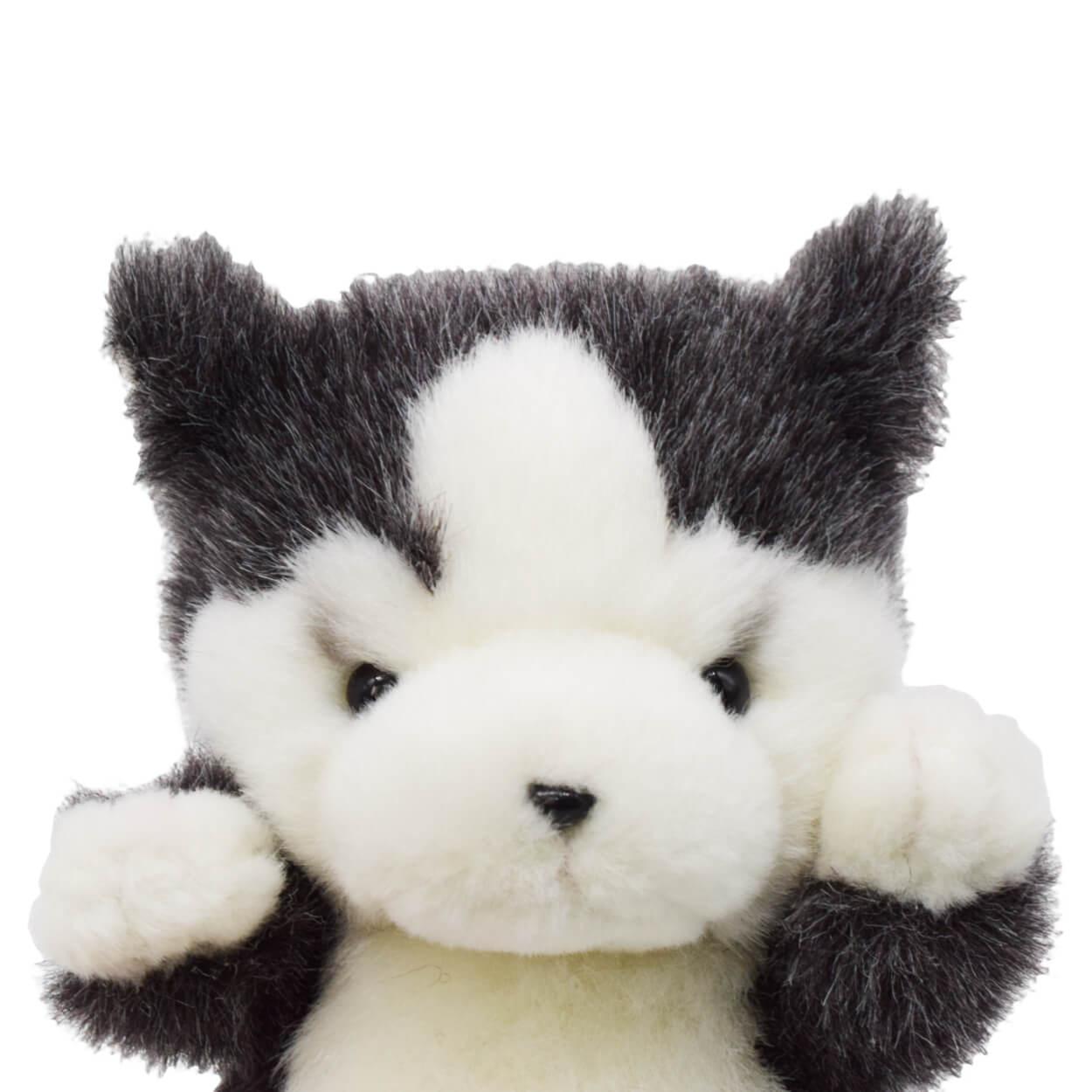 Adorable Hasky Dog Stuffed Animal Plush Toy