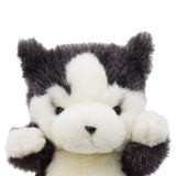 Adorable Hasky Dog Stuffed Animal Plush Toy