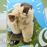 Marmota Stuffed Plush Slap Bracelet (Woodchuck, Grounghog)