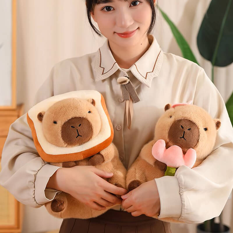 Capybara Stuffed Animal Plush Toy, Six Style Capybara Plushies