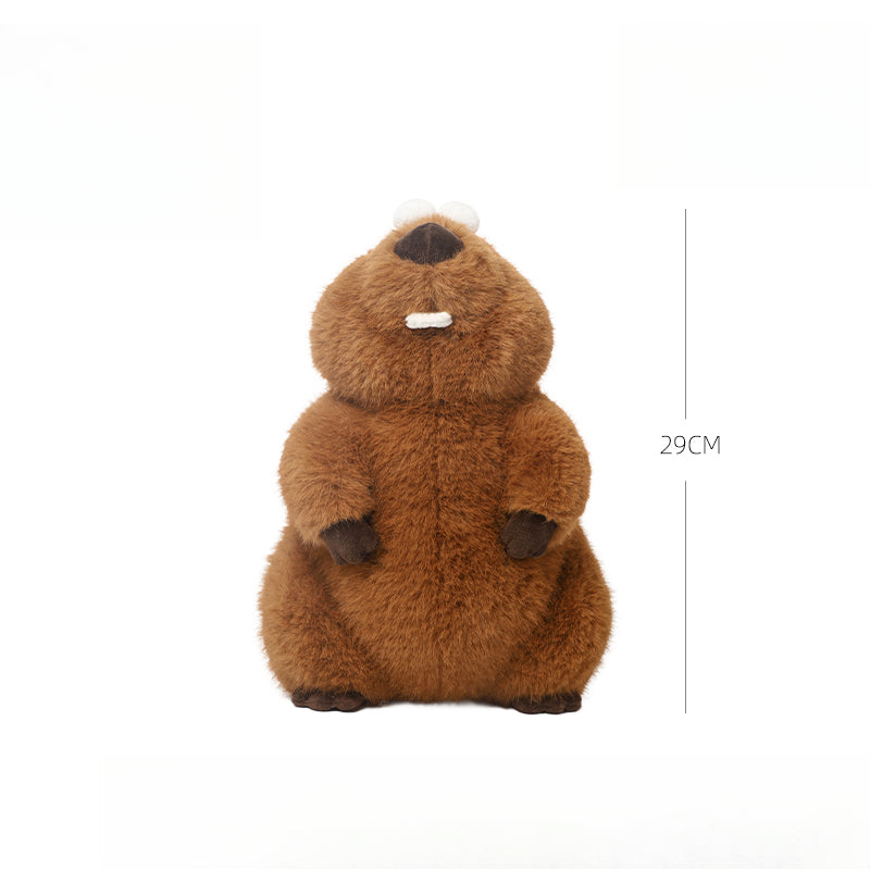 Funny Marmota Stuffed Animal Plush Toy (Woodchuck, Grounghog)