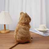Cute Quokka Stuffed Animal Plush Toy, Australian Animal Plushies