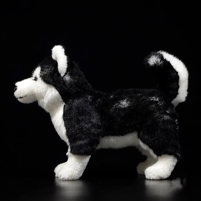 Realistic Bi-eyed Husky Dog Stuffed Animal Plush Toy, Lifelike Plushies