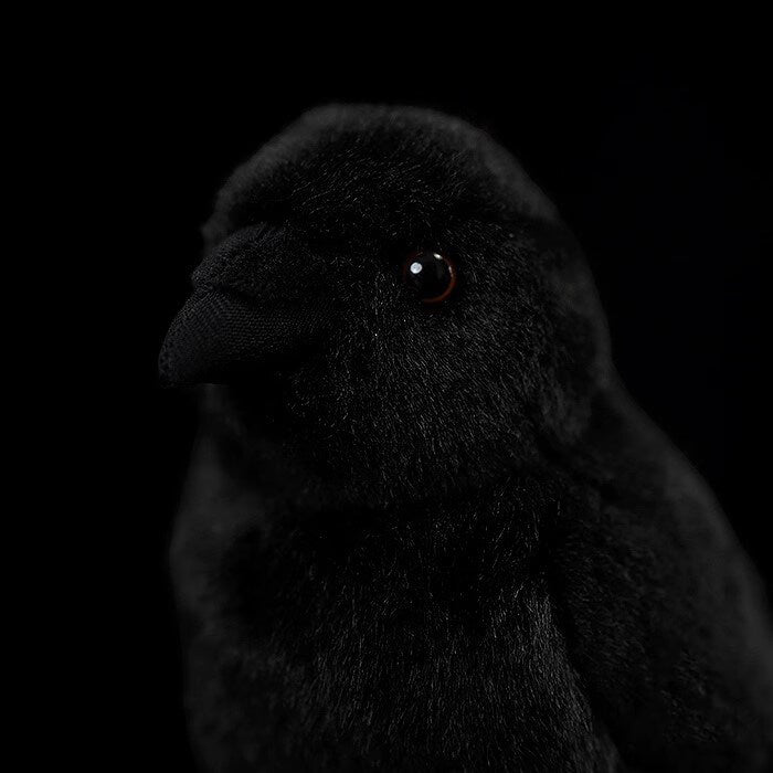 Realistic Chubby Crow Bird Stuffed Animal Plush Toy