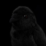 Realistic Chubby Crow Bird Stuffed Animal Plush Toy