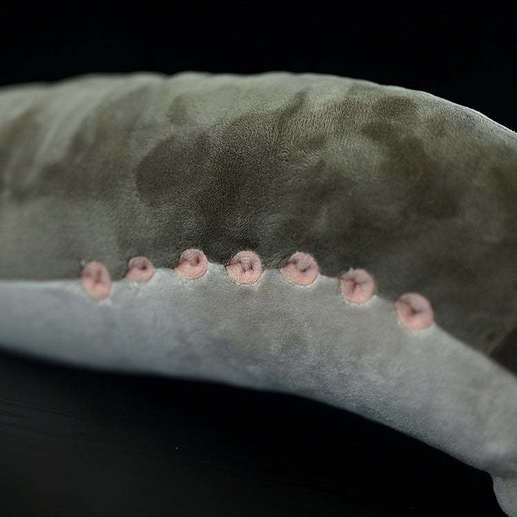 Realistic Sea Lamprey Stuffed Animal Plush Toy, Fish Plushies