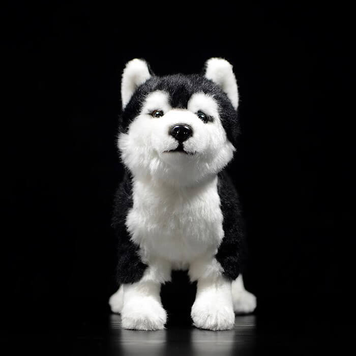 Realistic Bi-eyed Husky Dog Stuffed Animal Plush Toy, Lifelike Plushies