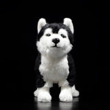 Realistic Bi-eyed Husky Dog Stuffed Animal Plush Toy, Lifelike Plushies