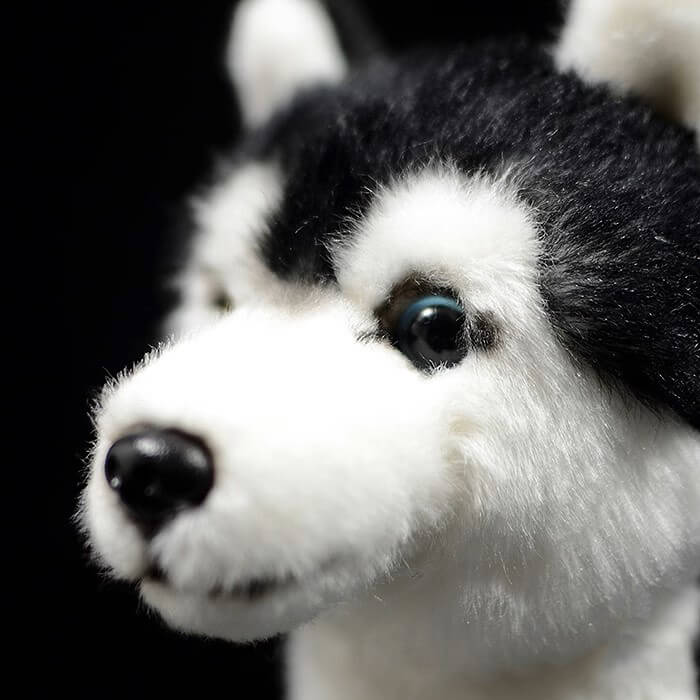 Realistic Bi-eyed Husky Dog Stuffed Animal Plush Toy, Lifelike Plushies
