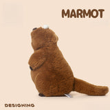 Funny Marmota Stuffed Animal Plush Toy (Woodchuck, Grounghog)