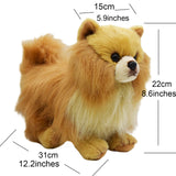 Realistic Pomeranian Dog Stuffed Animal Plush Toy