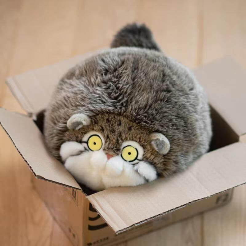 Chubby Pallas's cat Stuffed Animal Plush
