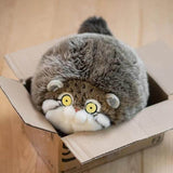 Chubby Pallas's cat Stuffed Animal Plush