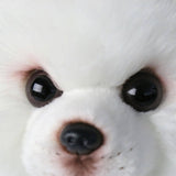 Realistic Pomeranian Dog Stuffed Animal Plush Toy