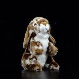 Realistic Lop Rabbit Stuffed Animal Plush Toy