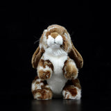 Realistic Lop rabbit Stuffed Animal Plush Toy