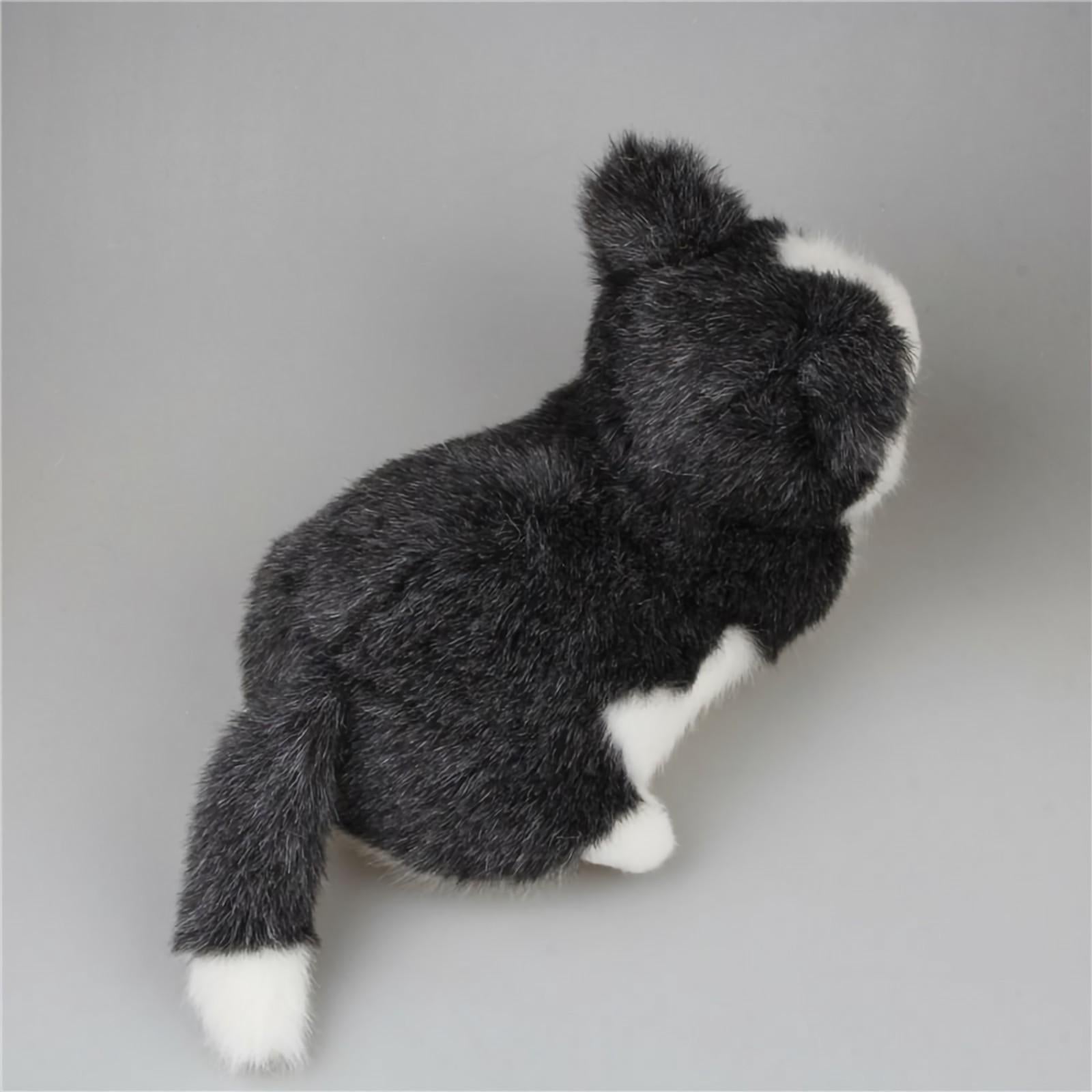 Cute Husky Dog Stuffed Animal Plush Toys
