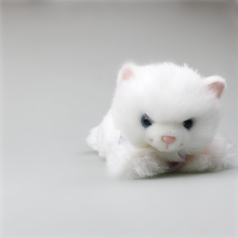 Cute Cat Stuffed Animal Plush Toys, Adorable Kitten Plushies
