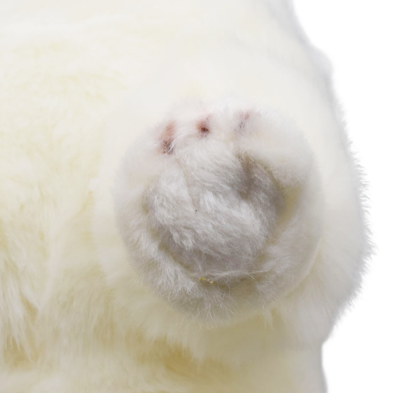 Realistic Pomeranian Dog Stuffed Animal Plush Toy