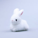Cute Rabbit Plush Toy, Animal Stuffed Animal Plushies