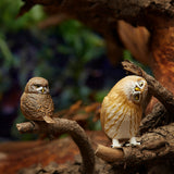 Crooked Head Realistic PVC Owl Figurine