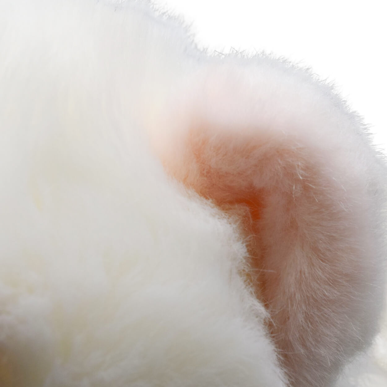 Realistic Pomeranian Dog Stuffed Animal Plush Toy