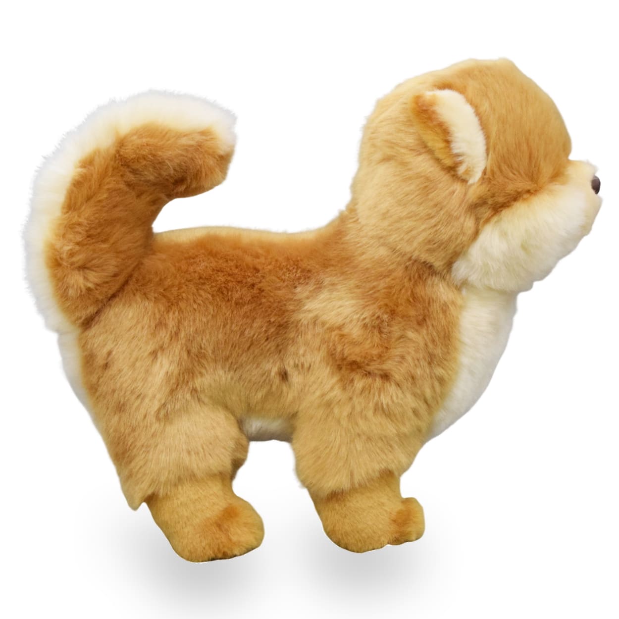 Realistic Yellow Pomeranian Dog Stuffed Animal Plush Toy