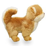Realistic Yellow Pomeranian Dog Stuffed Animal Plush Toy