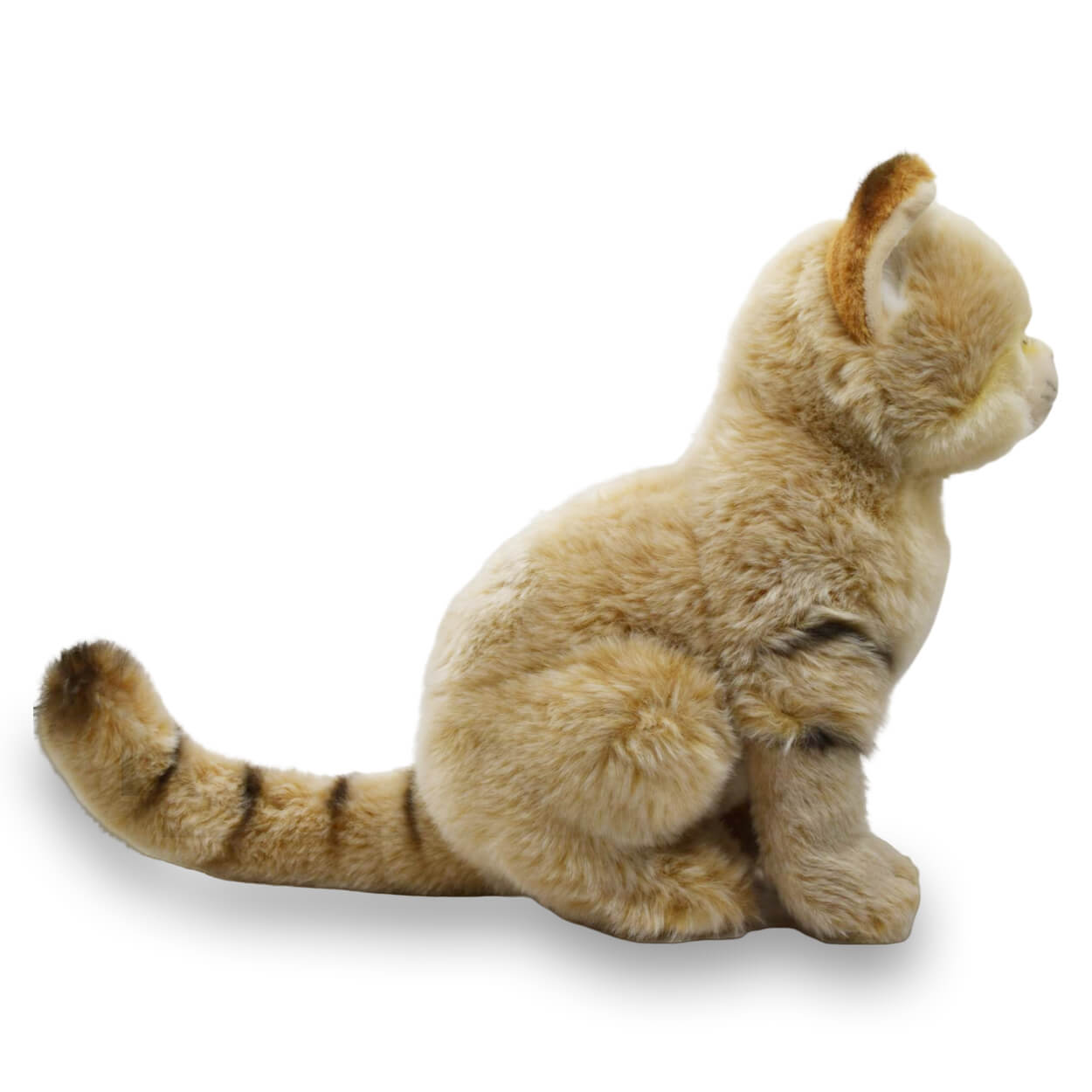 Realistic Sand Cat Stuffed Animal Plush Toy
