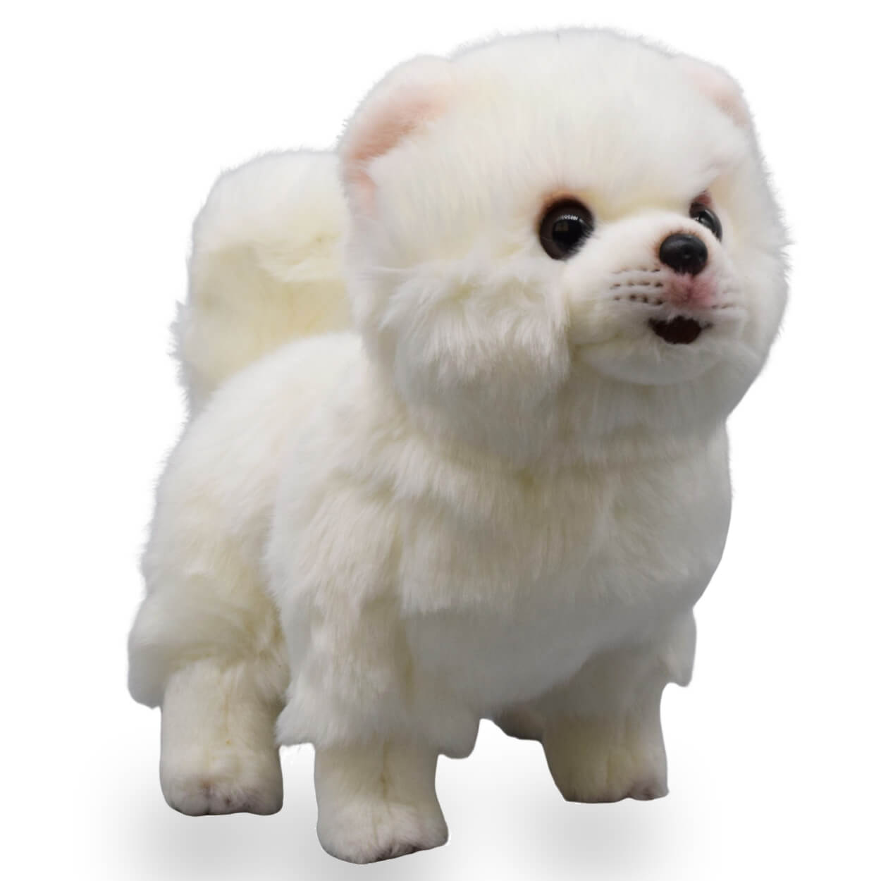 Realistic Pomeranian Dog Stuffed Animal Plush Toy