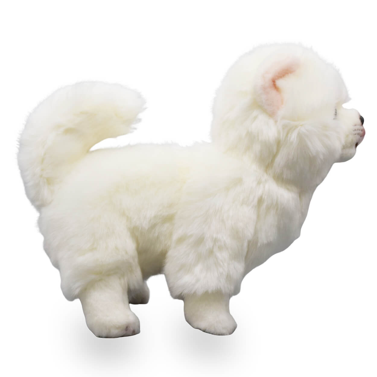 Realistic Pomeranian Dog Stuffed Animal Plush Toy