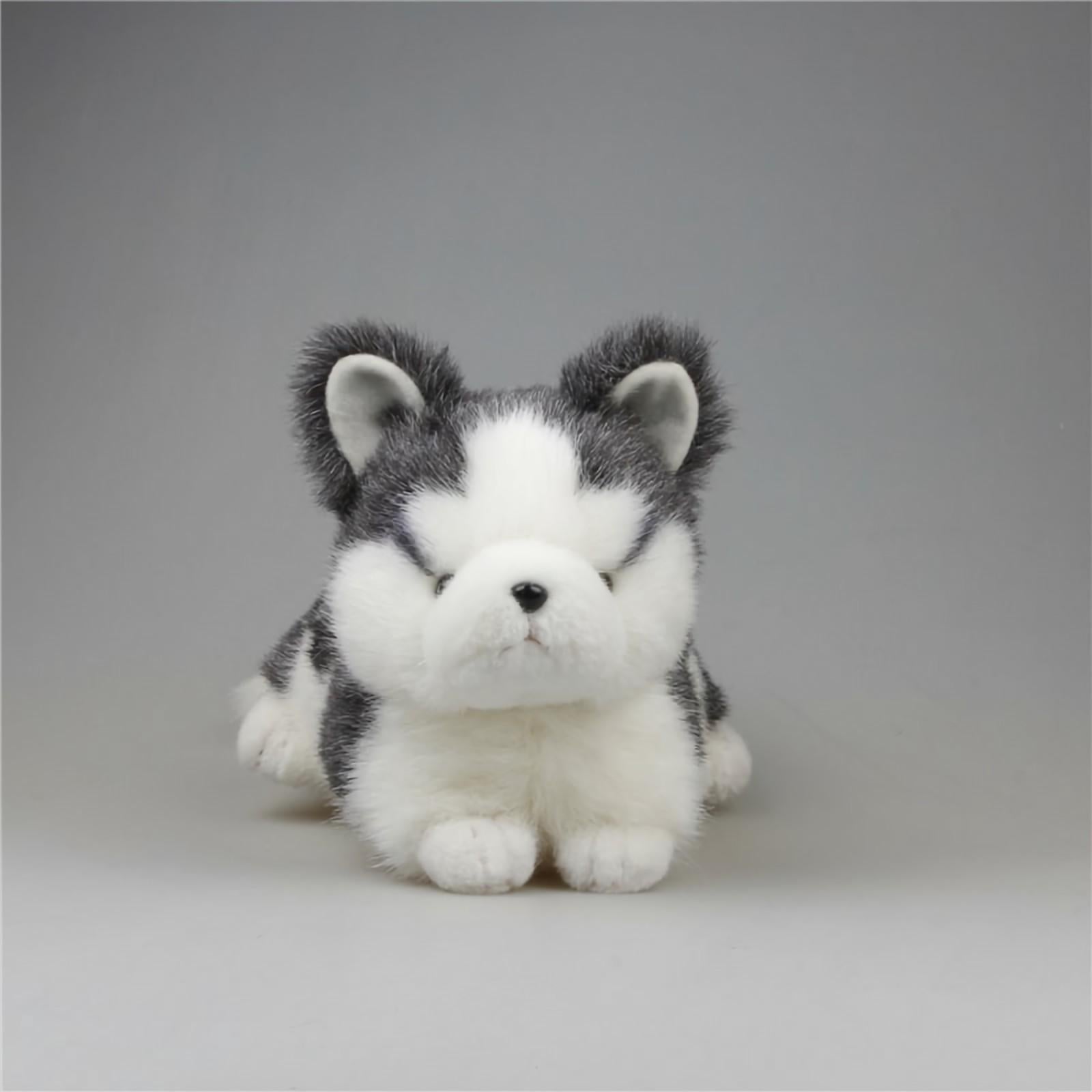 Cute Husky Dog Stuffed Animal Plush Toys