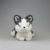 Cute Husky Dog Stuffed Animal Plush Toys