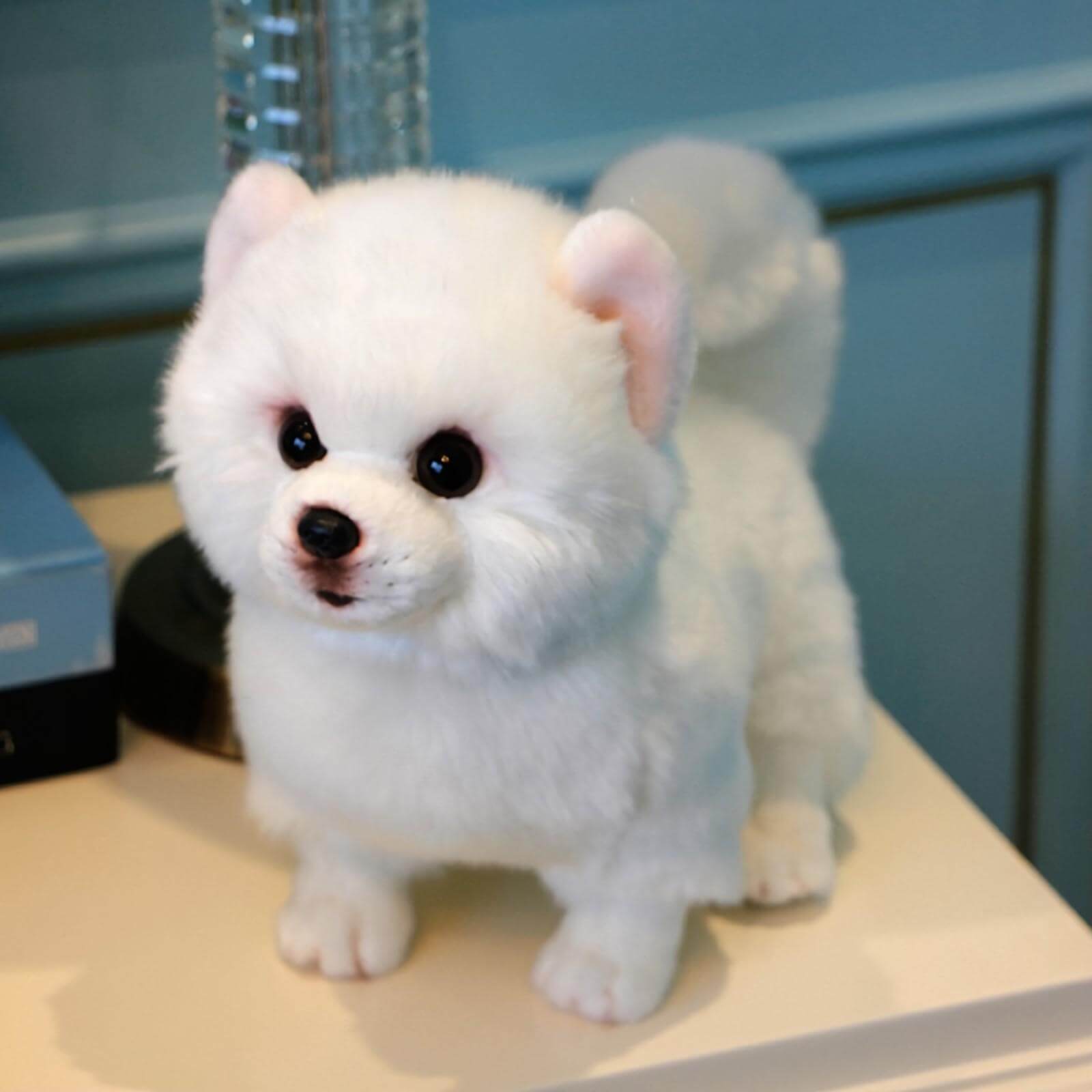Realistic Pomeranian Dog Stuffed Animal Plush Toy