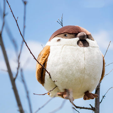 Chubby Sparrow Stuffed Animal Plush Toy