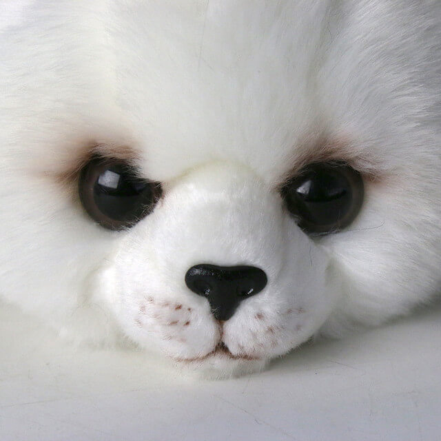 Cute Harp Seal Pup Plush