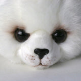Cute Harp Seal Pup Plush