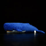 Realistic Sperm Whale Stuffed Animal Plush Toy