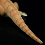Realistic Central Bearded Dragon Stuffed Animal Plush Toy