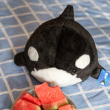 Chubby Orcinus Orca Plush Stuffed Toys Killer Whale Plushie Pillow