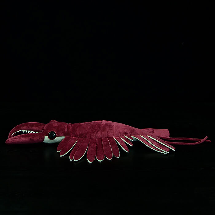 Realistic Anomalocaris Stuffed Animal Plush Toy