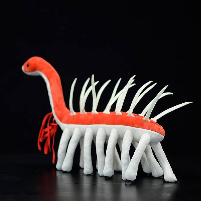 Realistic Hallucigenia Stuffed Animal Plush Toy
