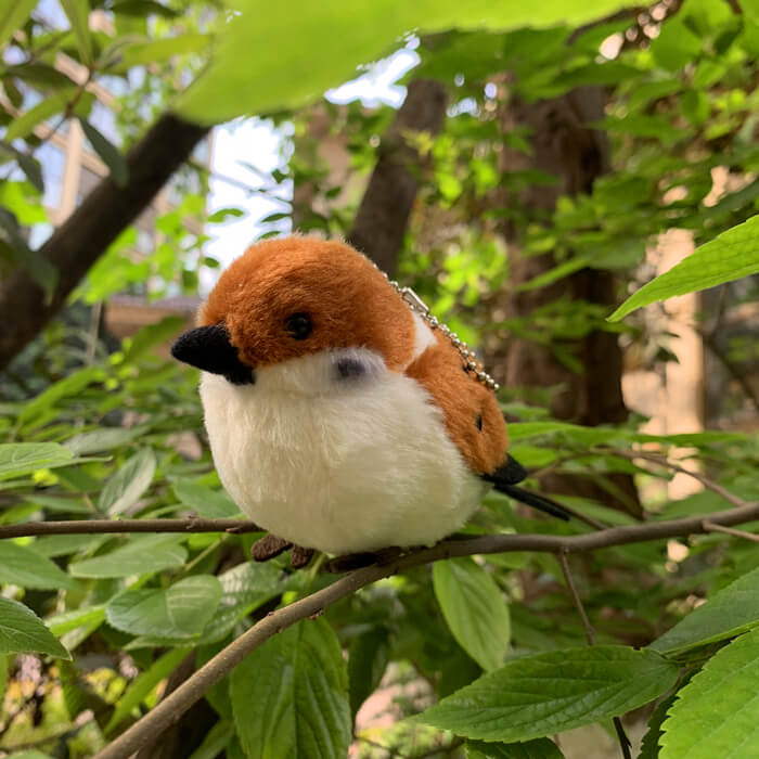 Small Tit Sparrow Plush Keychain